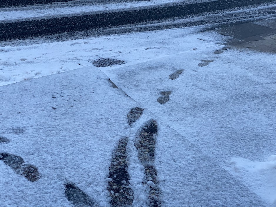 今週はサッと降ってサッととける、そんな雪が多いかもしれません