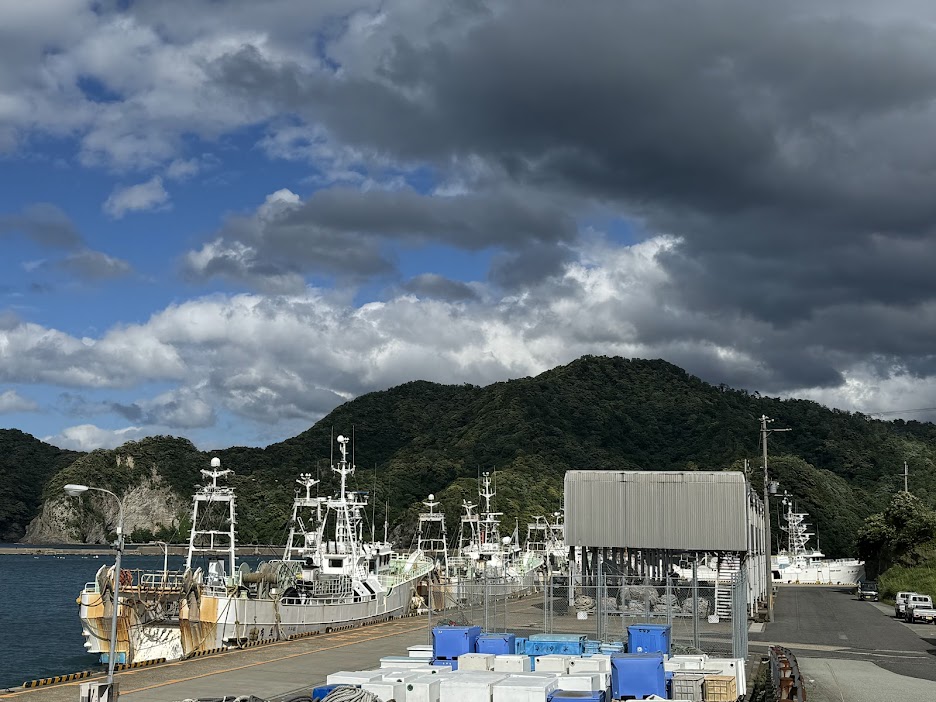 柴山港にまとまって停泊している底引き網漁船