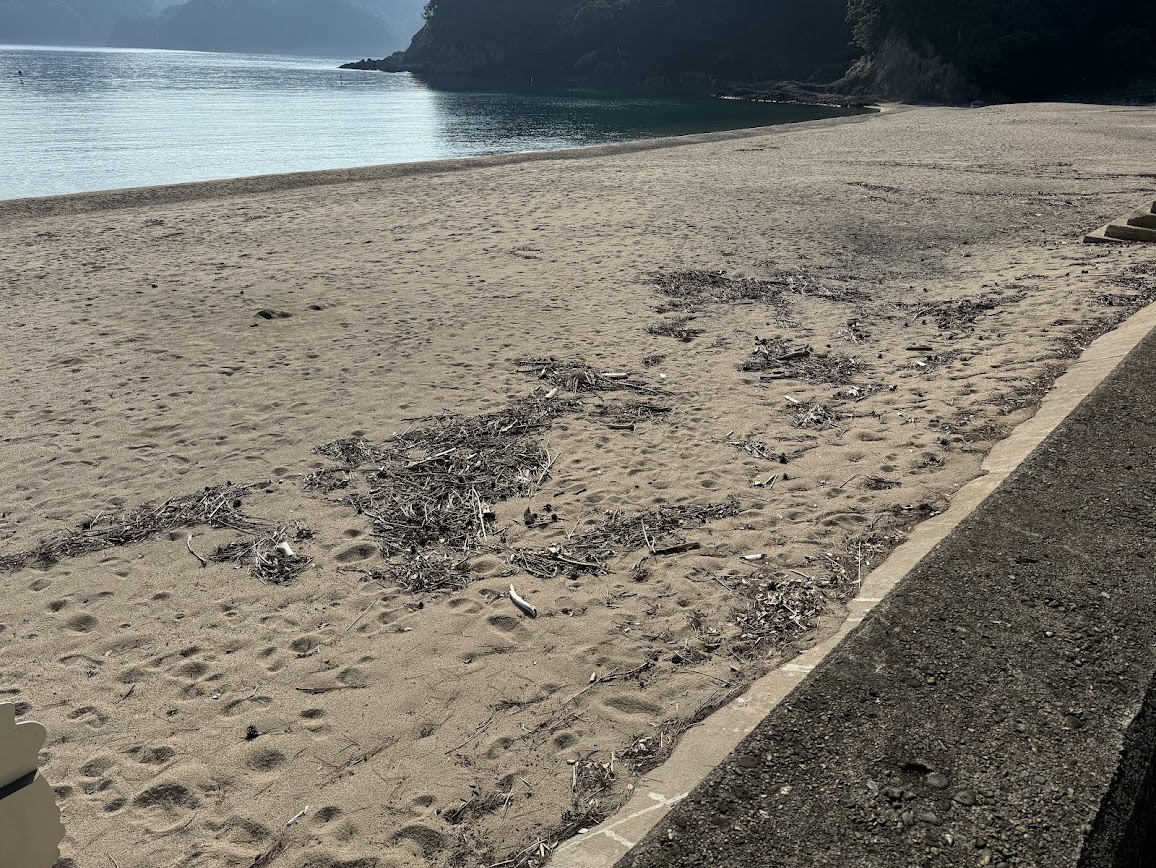 ビーチに流れ着いた葦や流木