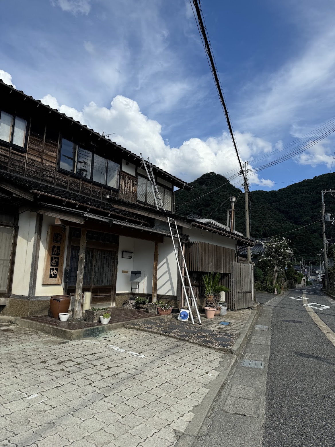 蜂の巣駆除