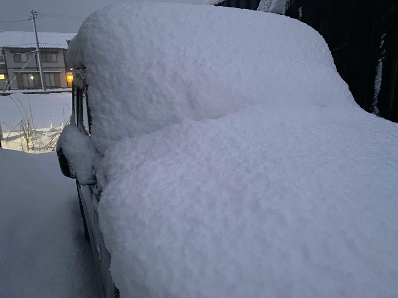 雪に覆われた車